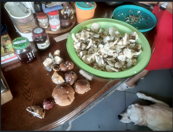 Снимок экрана 2025-08-21 155258.png