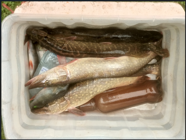 Снимок экрана 2025-08-29 154526.png