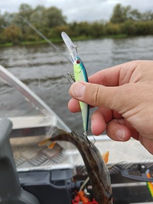 photo_2025-08-31_23-44-13 (2).jpg