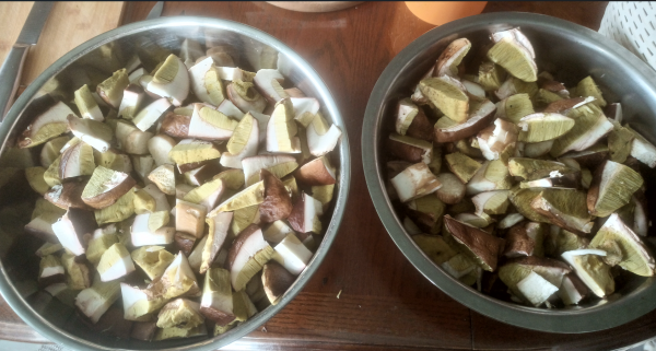 Снимок экрана 2025-08-27 102905.png