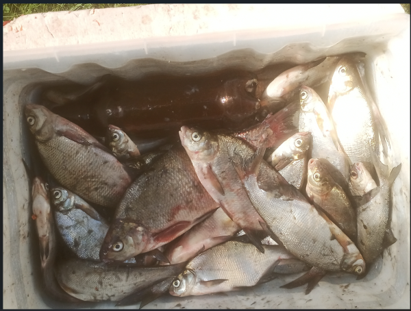 Снимок экрана 2025-08-07 211551.png