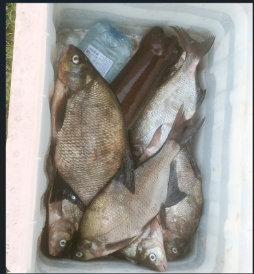 Снимок экрана 2025-08-14 192227.png