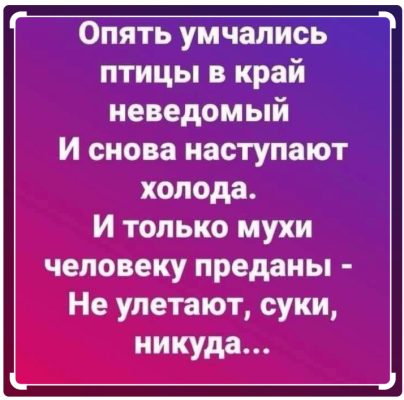 Снимок экрана 2025-07-04 103654.png