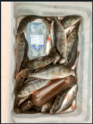 Снимок экрана 2025-08-19 181731.png