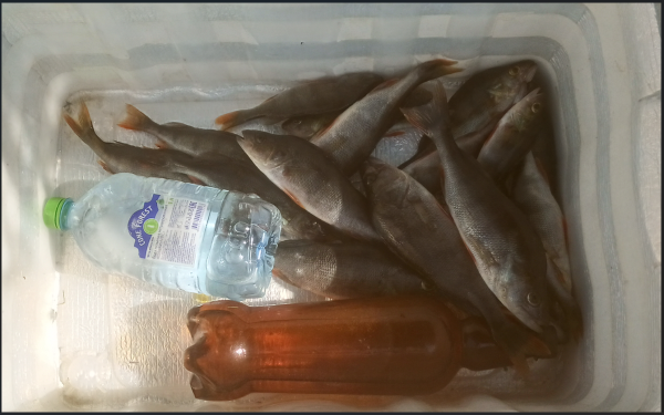 Снимок экрана 2025-08-03 181430.png