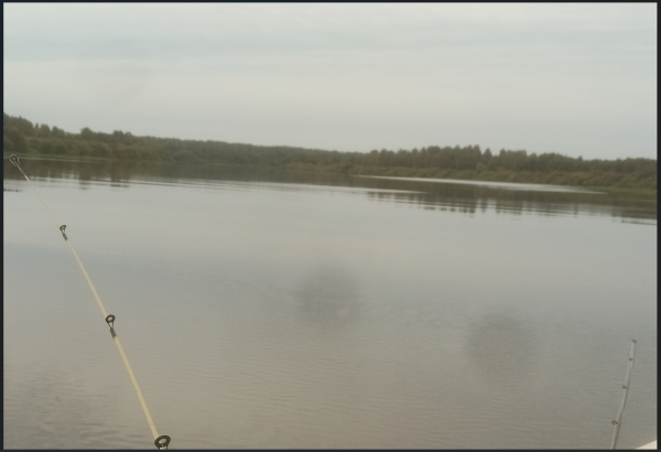 Снимок экрана 2025-08-29 154443.png