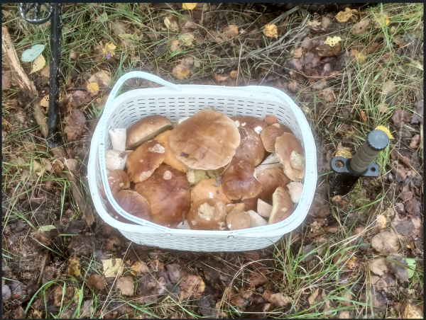 Снимок экрана 2025-08-27 102828.png