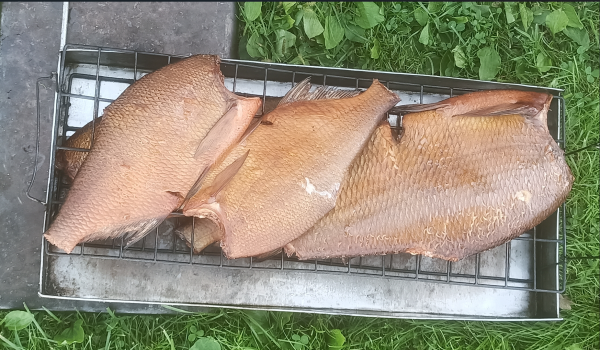 Снимок экрана 2025-08-14 192404.png