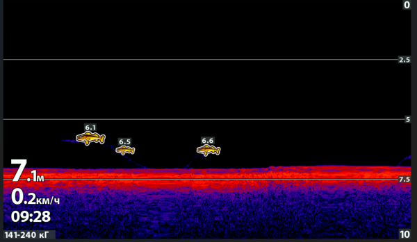 Снимок экрана 2025-08-14 172917.png