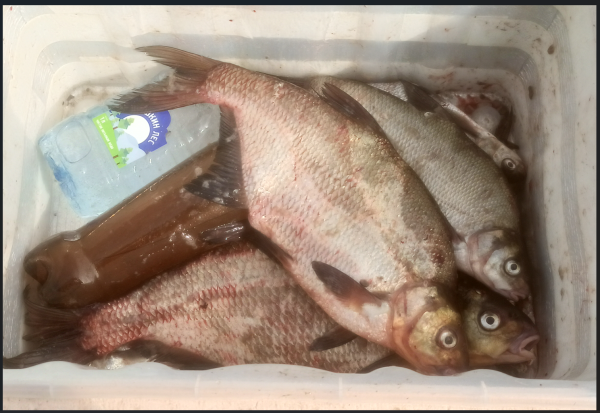 Снимок экрана 2025-09-04 211425.png