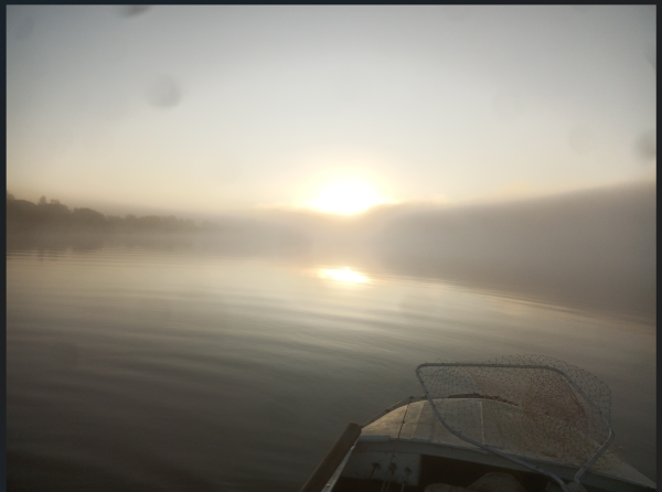 Снимок экрана 2025-09-02 162126.png