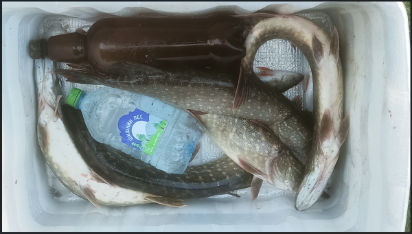 Снимок экрана 2025-09-02 162152.png