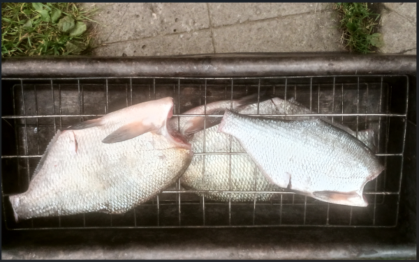 Снимок экрана 2025-09-18 214355.png