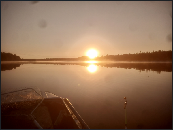 Снимок экрана 2025-09-04 211024.png