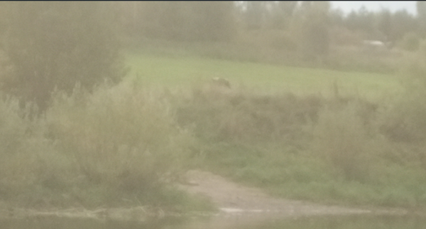 Снимок экрана 2025-09-25 164754.png