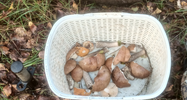 Снимок экрана 2025-09-24 183942.png