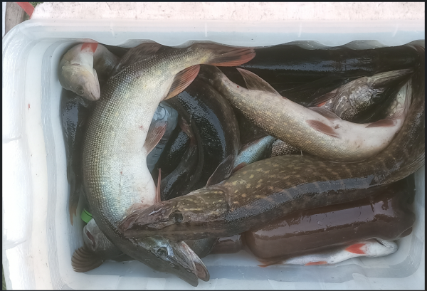 Снимок экрана 2025-09-09 171844.png