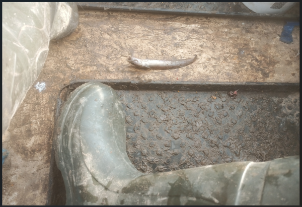 Снимок экрана 2025-09-04 211332.png