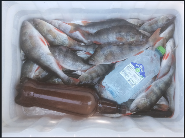 Снимок экрана 2025-09-11 201845.png