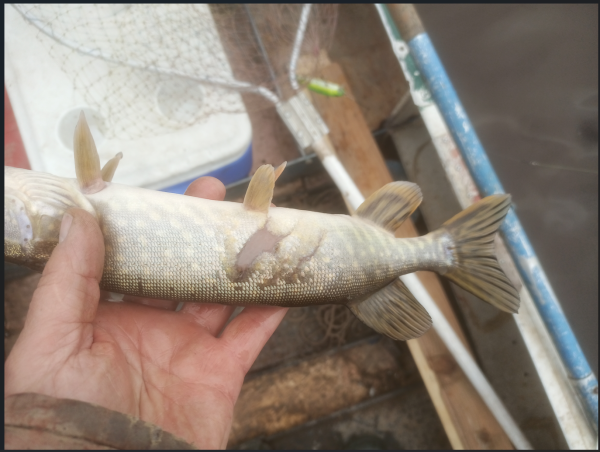 Снимок экрана 2025-10-22 205618.png