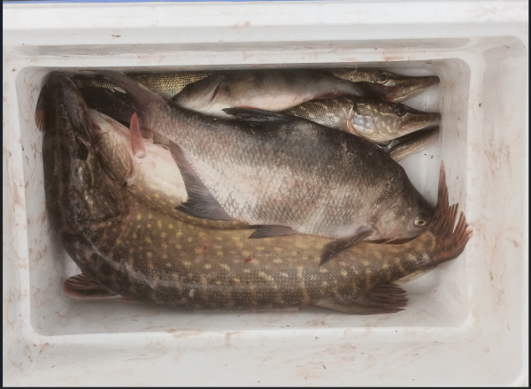 Снимок экрана 2025-10-23 184634.png