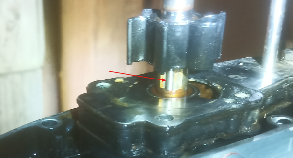 Снимок экрана 2025-10-21 213811.png