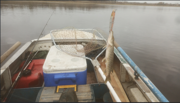 Снимок экрана 2025-10-21 214320.png