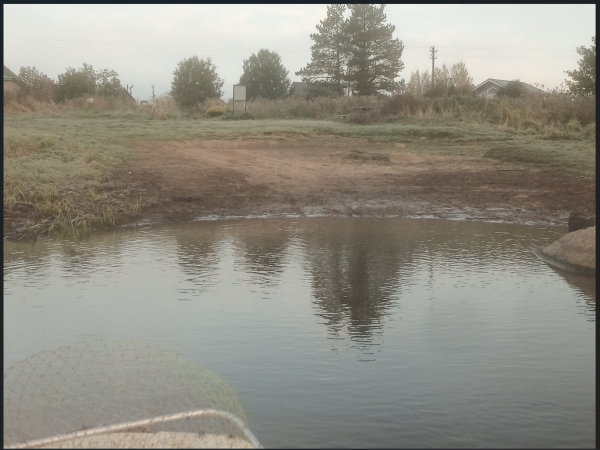 Снимок экрана 2025-10-03 190103.png