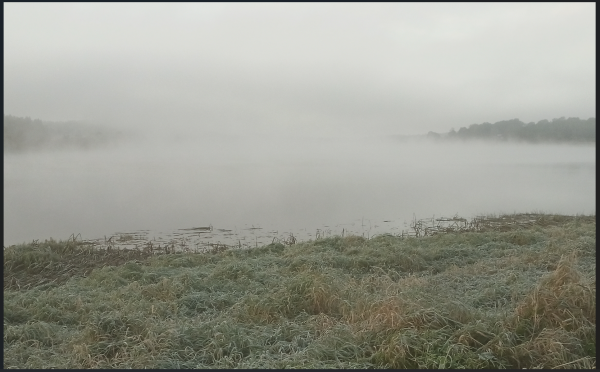 Снимок экрана 2025-10-03 190009.png