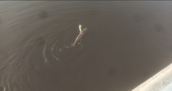 Снимок экрана 2025-10-18 182150.png