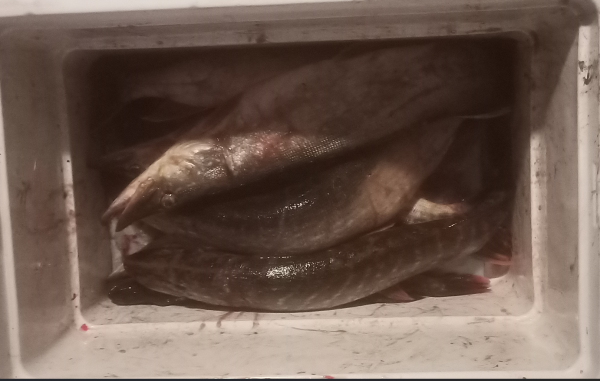 Снимок экрана 2025-10-16 222606.png