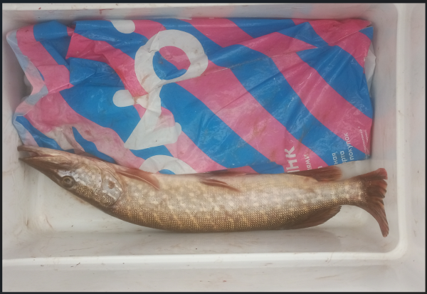 Снимок экрана 2025-11-12 191443.png