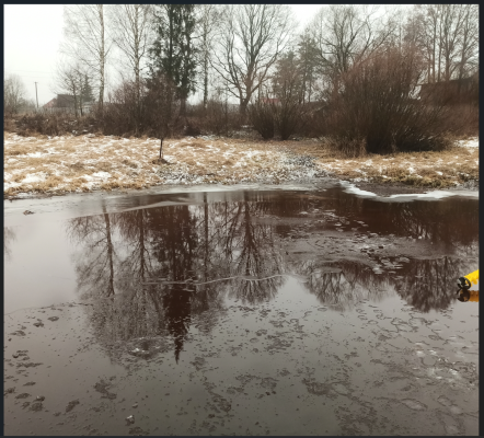 Снимок экрана 2025-12-16 113147.png