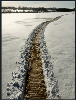 Снимок экрана 2026-02-23 153750.png