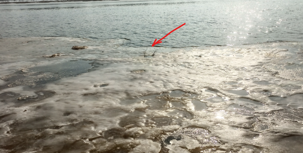 Снимок экрана 2026-03-12 151122.png