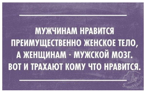 Снимок экрана 2026-03-31 092630.png