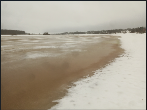 Снимок экрана 2026-03-02 144420.png