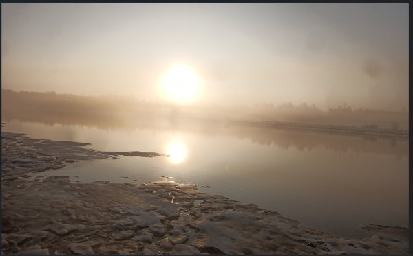 Снимок экрана 2026-03-13 102716.png