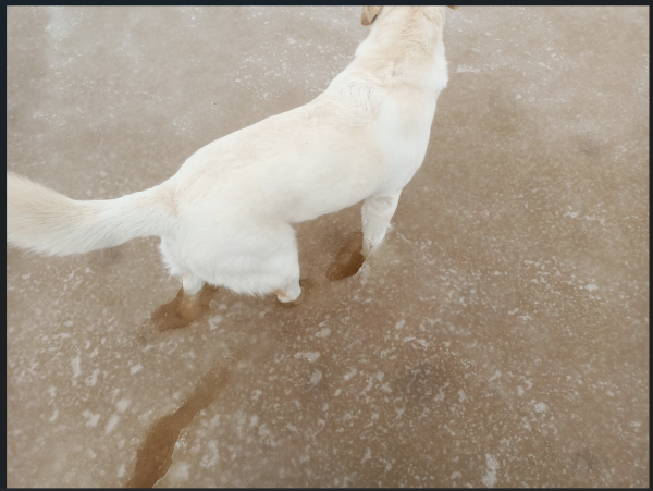 Снимок экрана 2026-03-02 144449.png