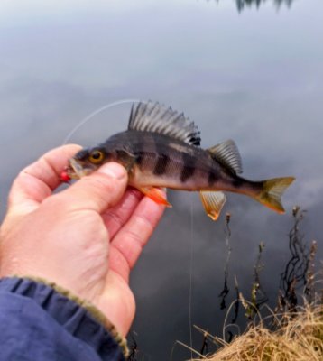 IMG_20260429_191740_195~2.jpg
