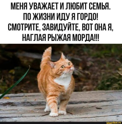 d4c17ef3faab925e9aaa043318f5d22762a64c158b25969d3a6af1065e4657df_1.jpg.jpg