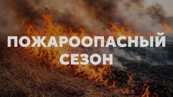 rssImage-cb85c106c8ae585bcbd6cf7895adfd7f.jpeg