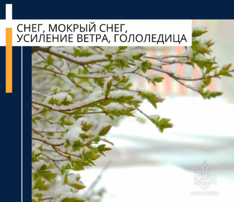 rssImage-e0601ea3525b494eb5f5193501105c5e.png