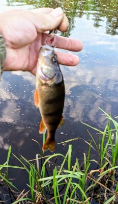IMG_20260520_191234_360~2.jpg