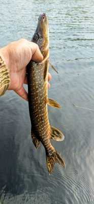 IMG_20260518_142148_264~2.jpg