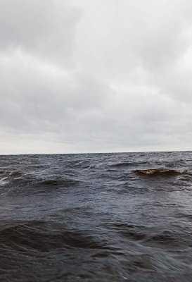1779602984218.jpg
