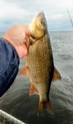 IMG_20260523_091839_332~2.jpg