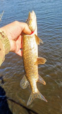 IMG_20260502_131758_618~2.jpg