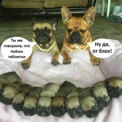 20260526_111107.thumb.jpg.5cf03f092e4c5d0fa97efb82dc63acd3.jpg