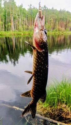 IMG_20260526_155446_330~3.jpg